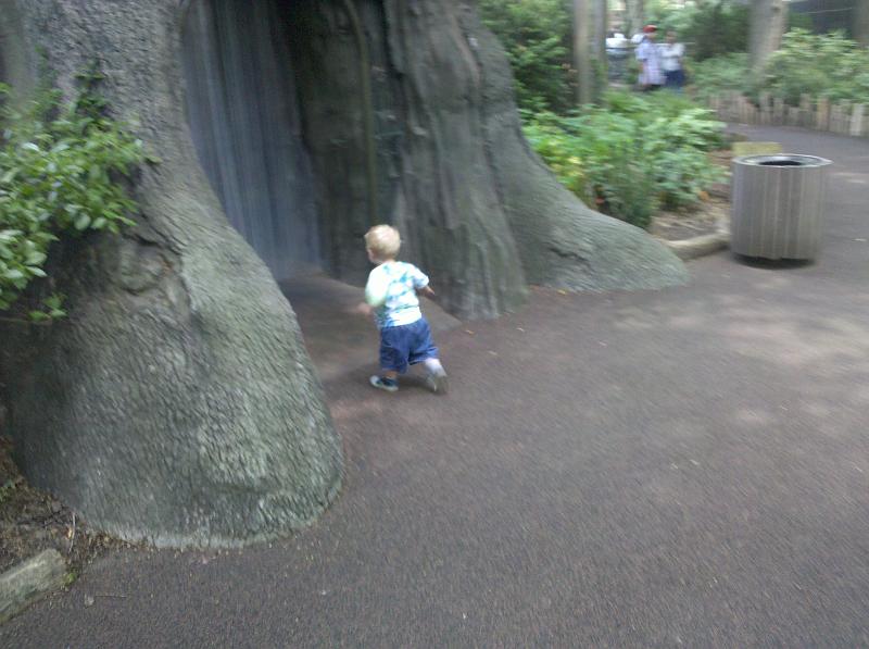 2010-05-29 13.18.22.jpg